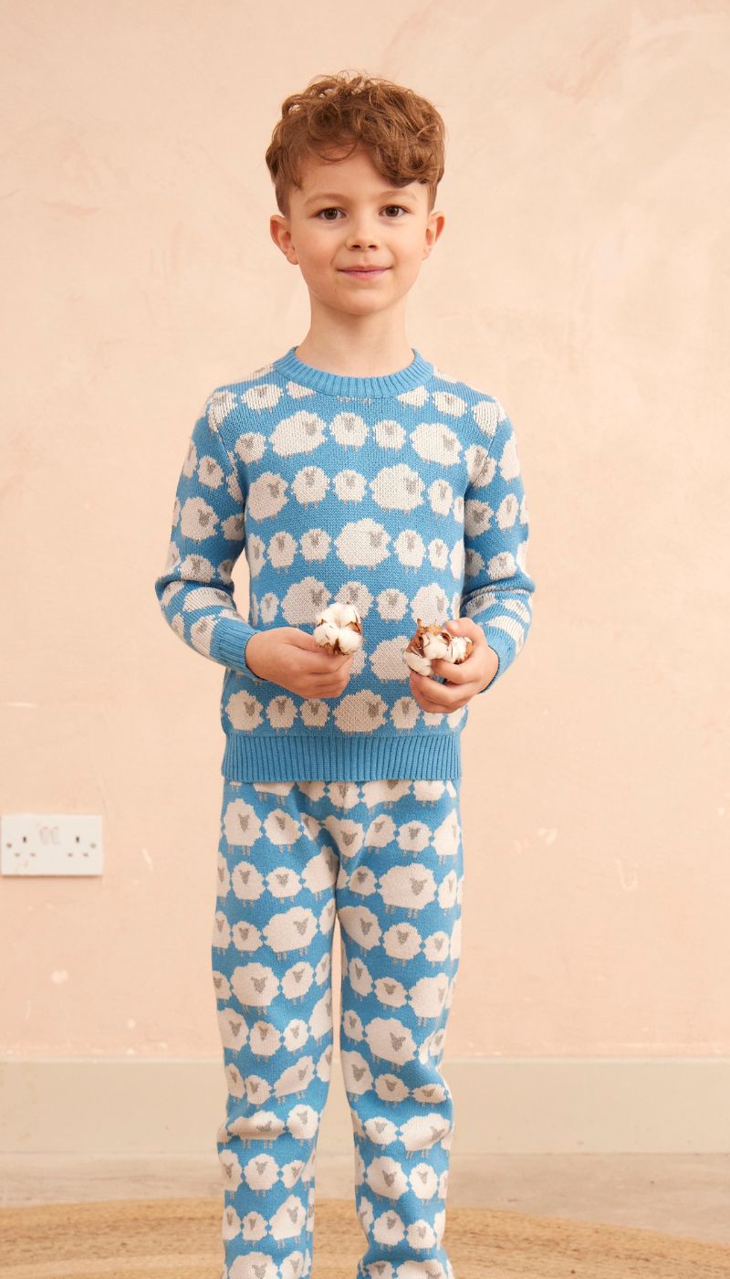 Flock of Sheep Jumper | Iceland Blue