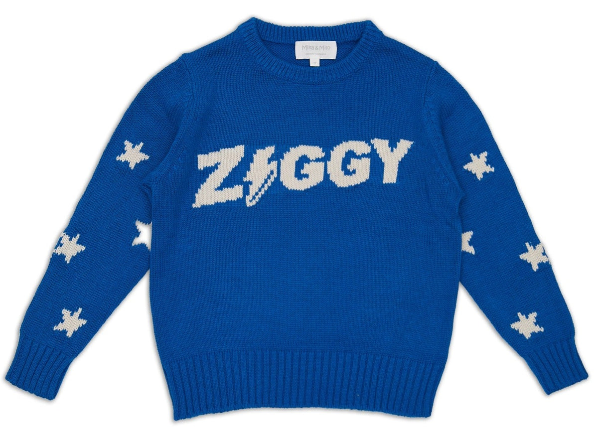 Cute boys organic cotton ZIGGY sweater
