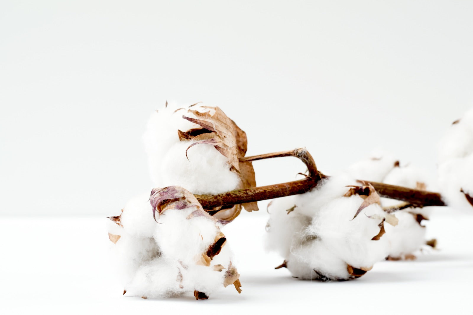 The Benefits of Organic Cotton Cashmere for Kids