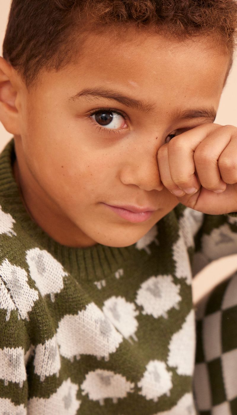 Flock of Sheep Jumper | Avocado