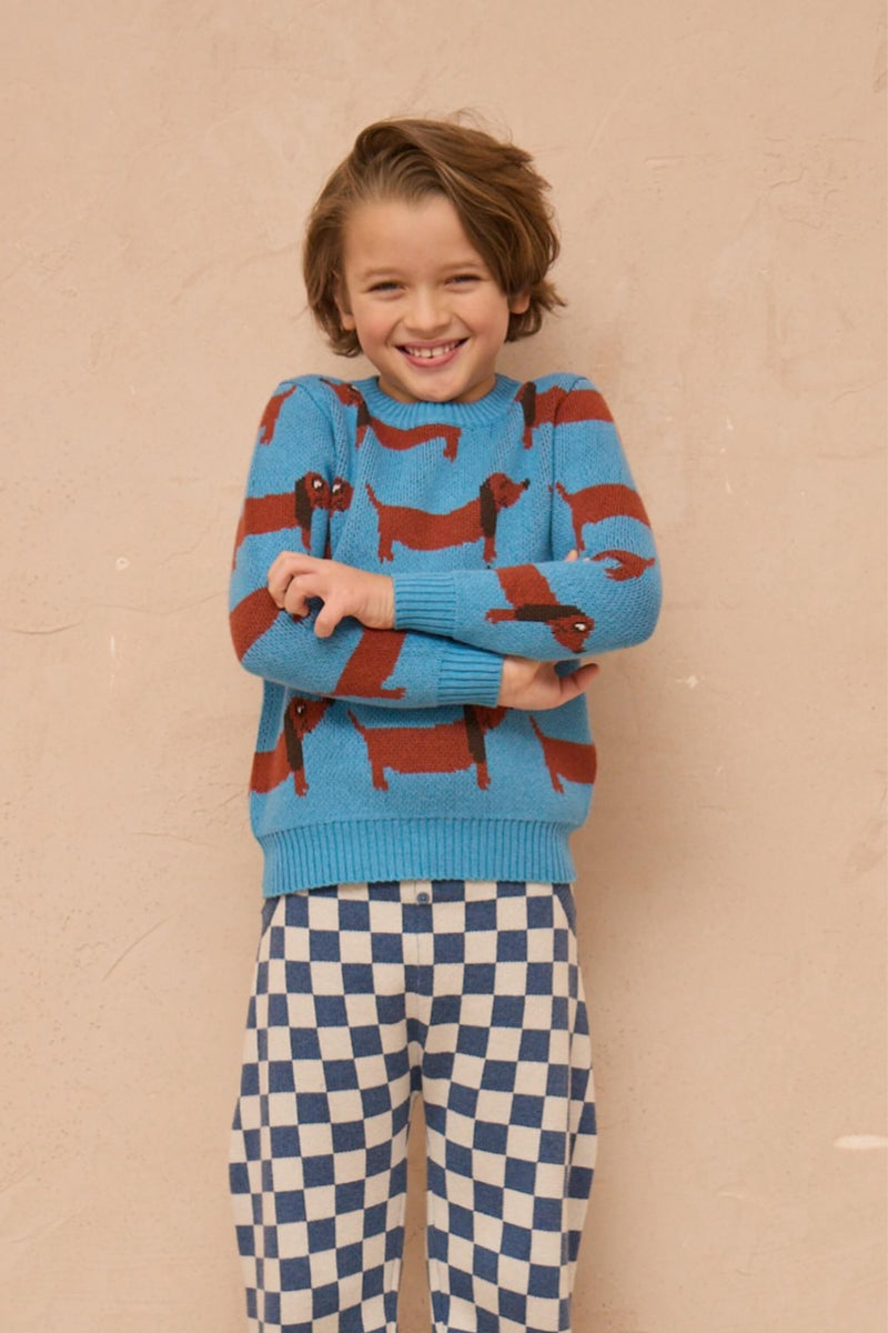 Boy wearing the MIKA & MILO Dachshund Jumper in Iceland blue
