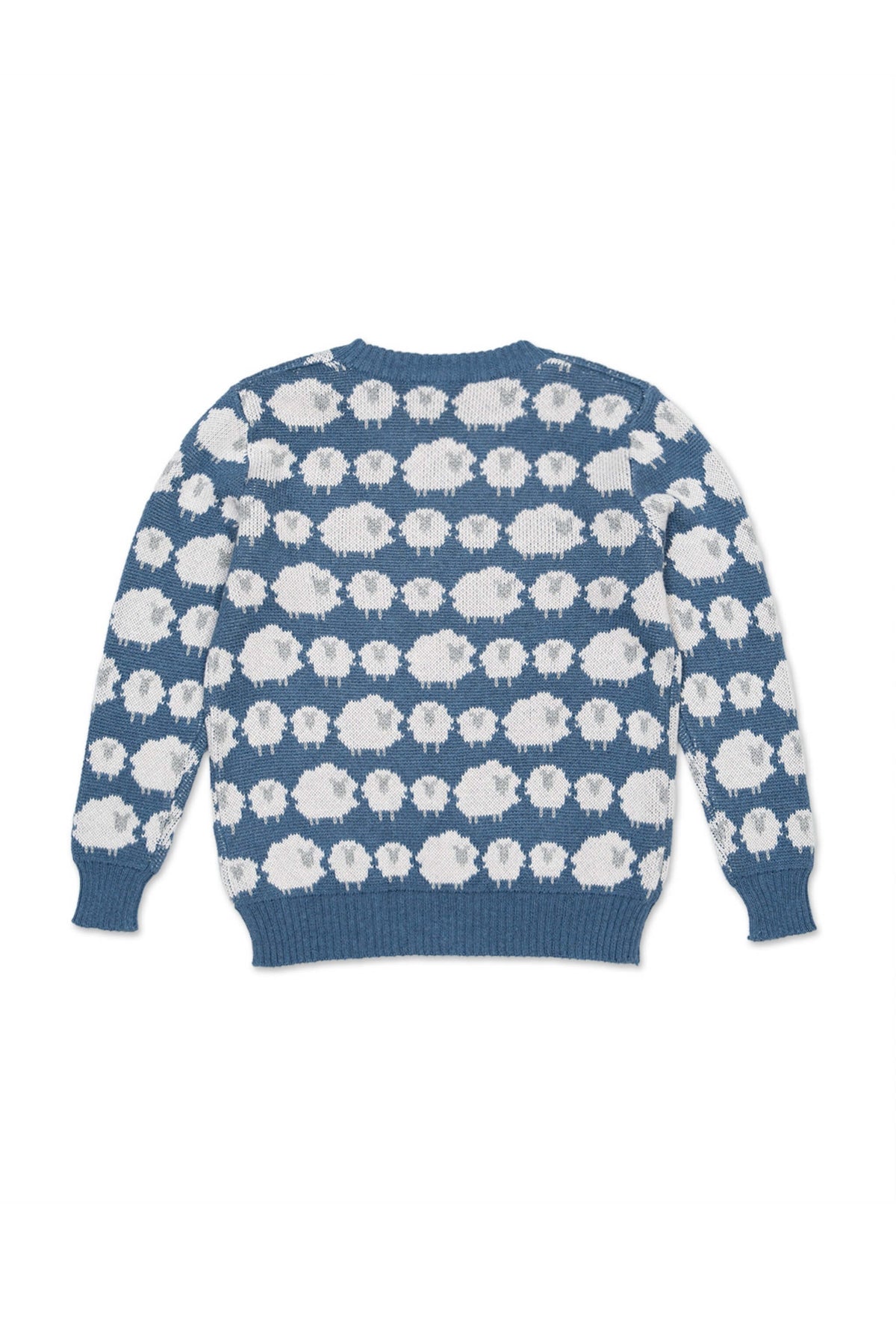 Back view of the Flock of Sheep Jumper in bluestone blue